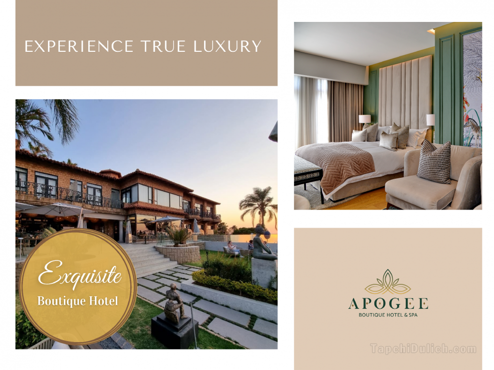 Apogee Boutique Hotel and Spa