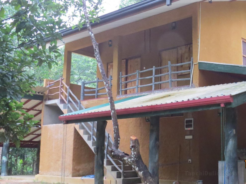 Sinharaja Birders Lodge