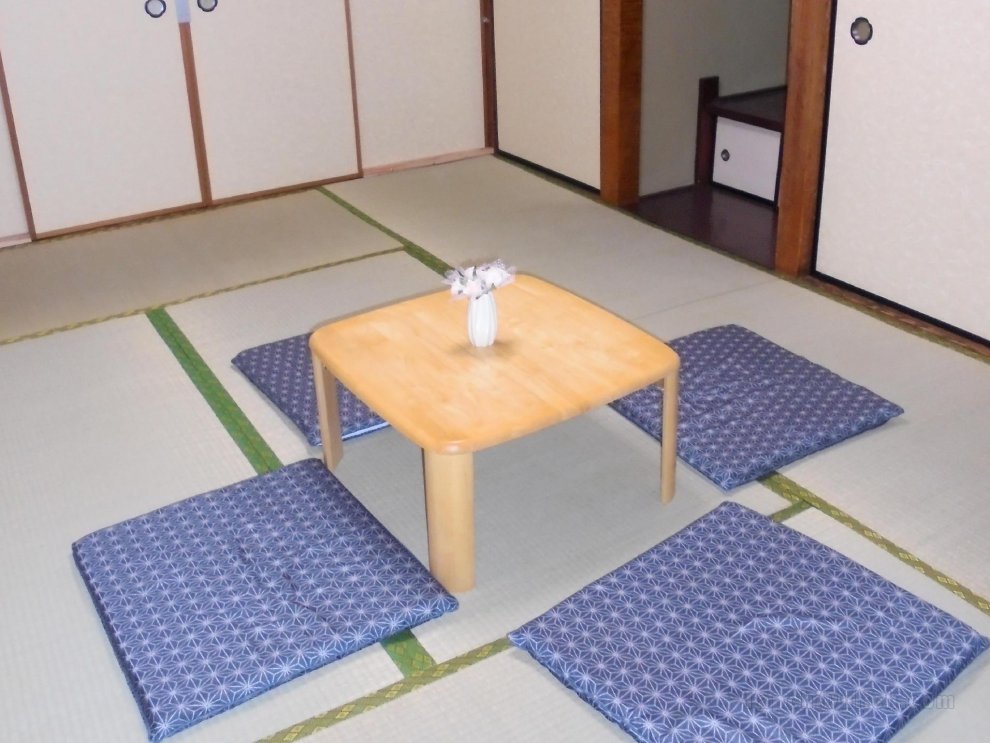 Guest House Cat