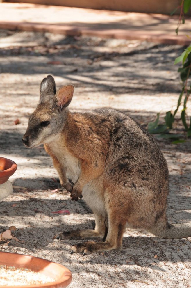 Kangaroo Island Wilderness Retreat Resort