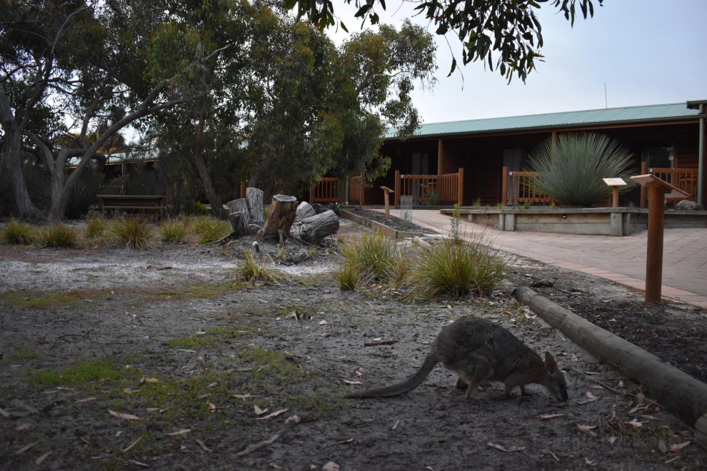 Kangaroo Island Wilderness Retreat Resort