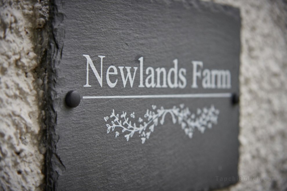 Newlands Farm Stables