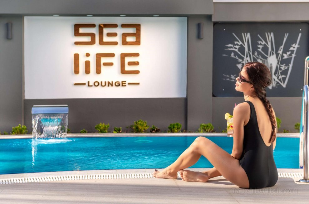 Sealife Lounge - Adult only