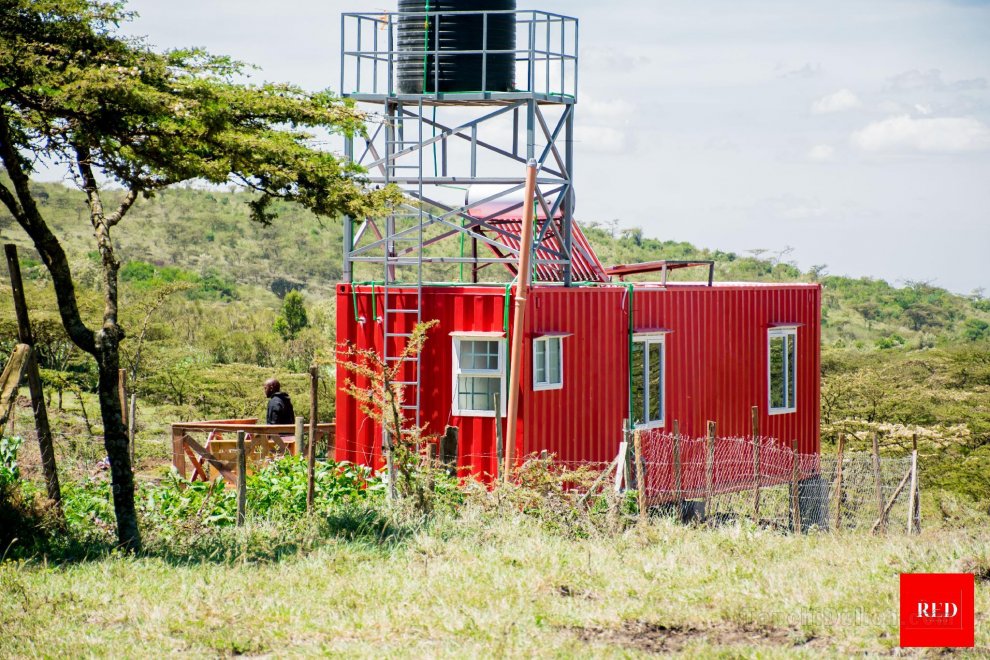 The Red Container Off Grid