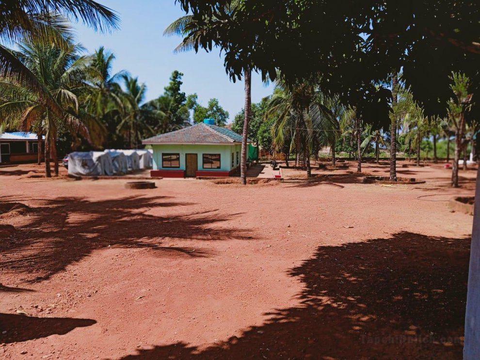 Coconut Tree Resort