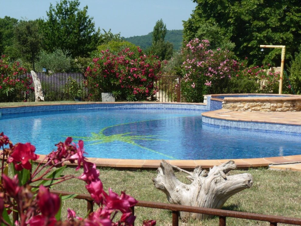 Provence Le Mas des Lavandes - unit Tilleul with pool, in the middle of nature