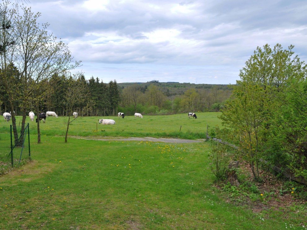 Inviting Holiday Home, a drive from Cave of Lorette, Namur and Parc Naturel Rgional des Ardennes
