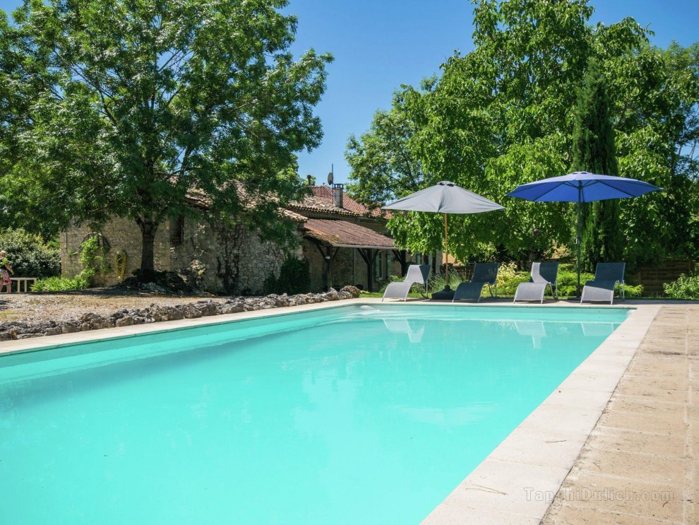 Wonderful mansion in Bourg-De-Visa with pool