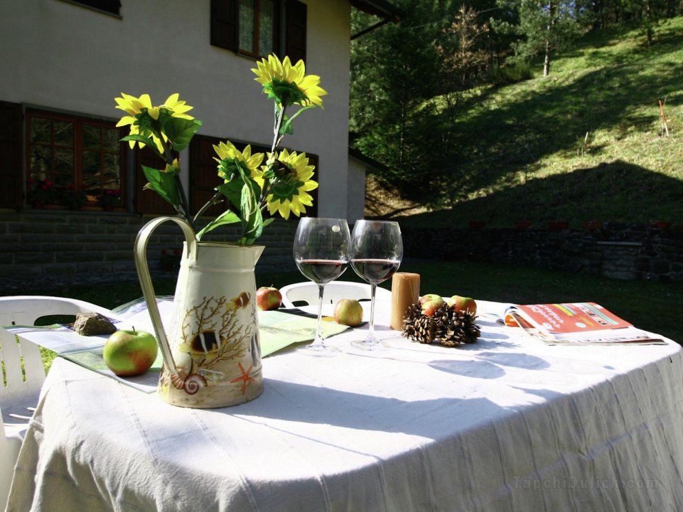 Holiday Home in Badia Prataglia with Garden, BBQ, Fireplace