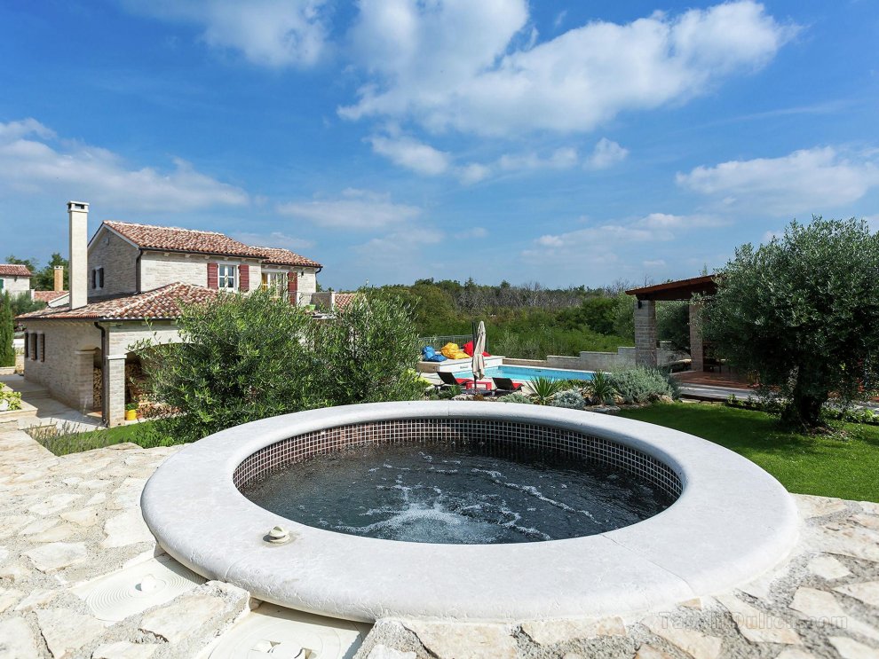 Splendid Villa in Baderna with Private Swimming Pool