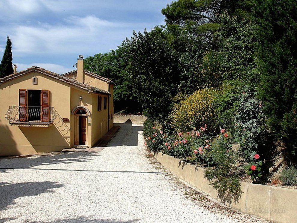 Farmhouse with swimming pool, beautiful views, among vineyards and olive groves