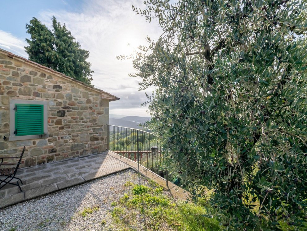 Farmhouse with swimming pool, in Michelangelos places