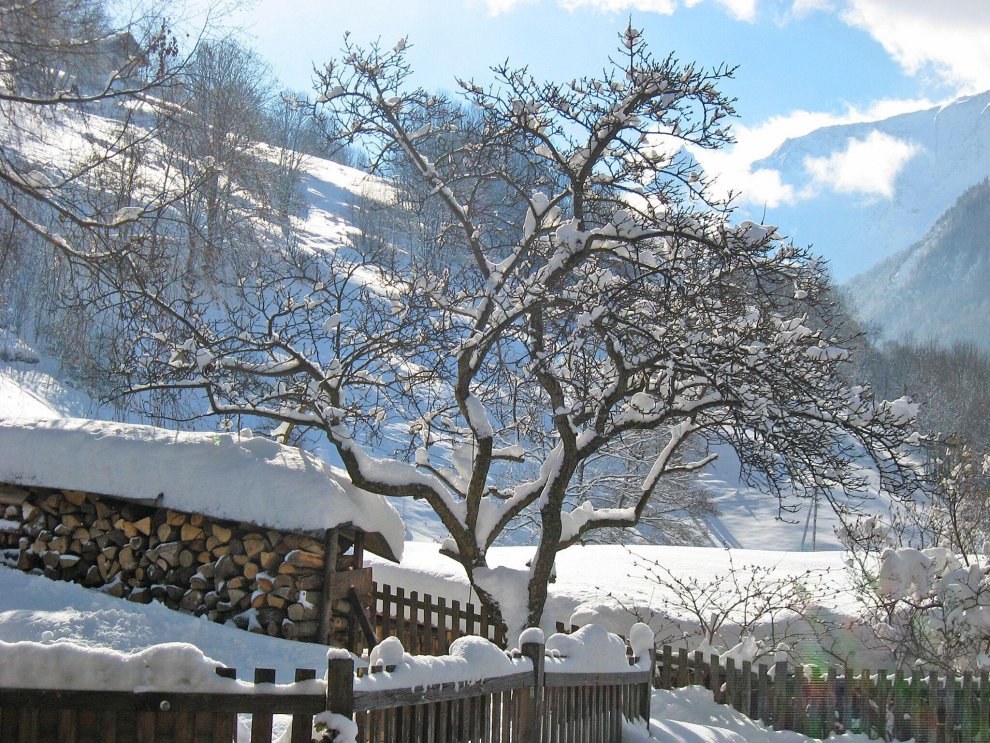 高級薩瓦傳統木屋-距離滑雪道500米