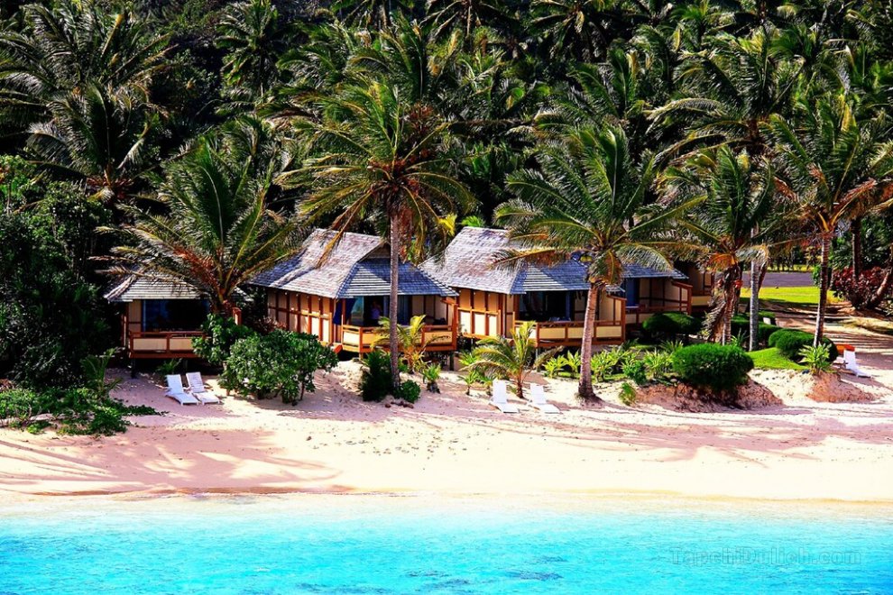 棕櫚樹林度假酒店