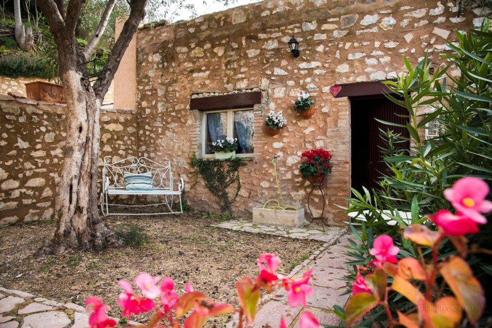 House near Assisi perfect for holidays with animals