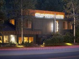 Molly Gibson Lodge