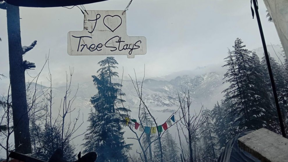 Tree stays -Future of camping