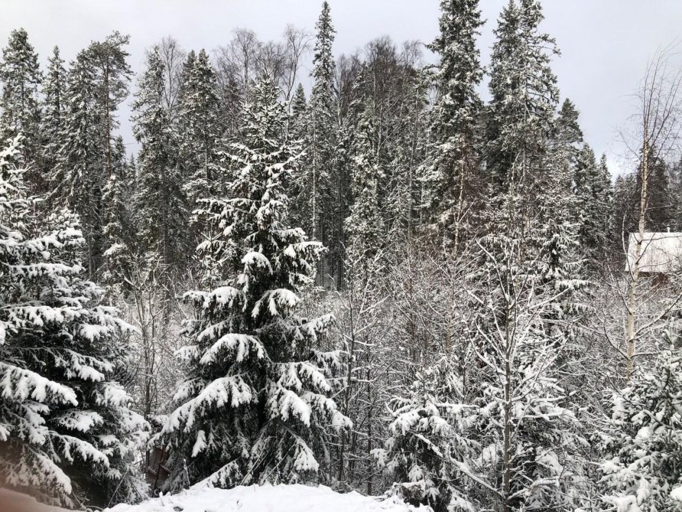 Panorama Karelia