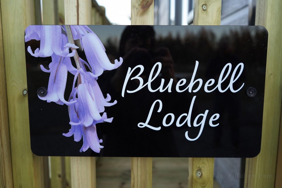 Hollicarrs - Bluebell Lodge