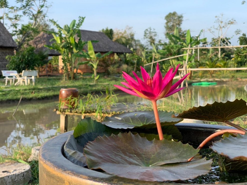 Mekong Daniel Resort (Bungalow3)