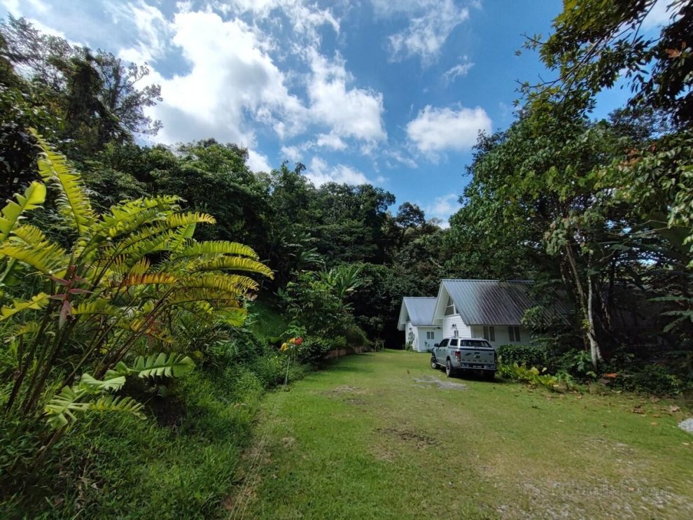 Berembun Rainforest Lodge