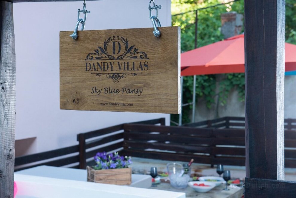 Dandy Villas Sky Blue Pansy | Jacuzzi