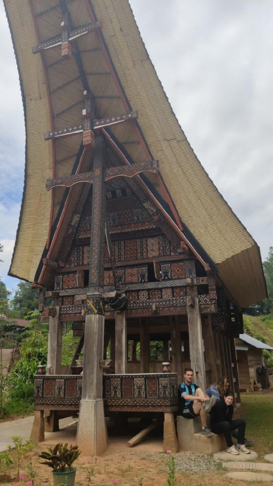 Toraja Bungin Homestay