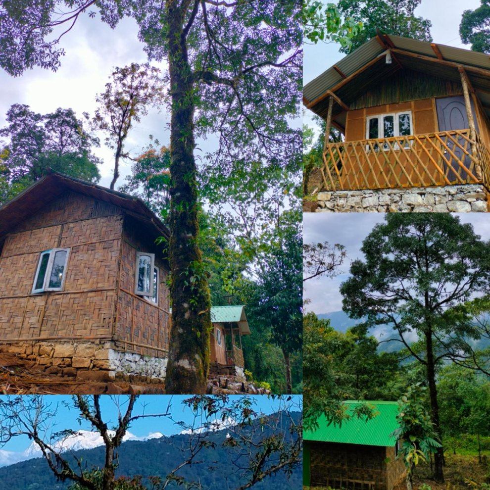 The Jhandi Forest Camping & huts