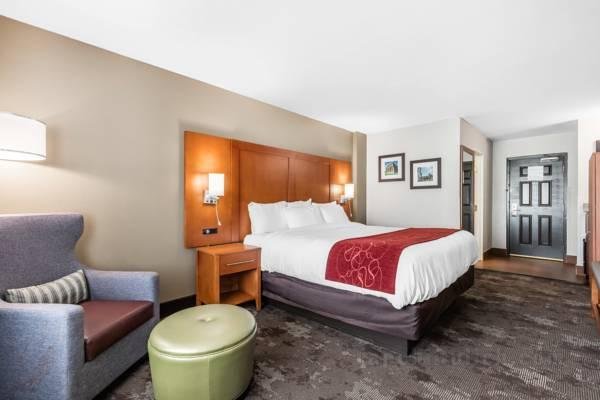 Comfort Inn & Suites Nashville-Antioch