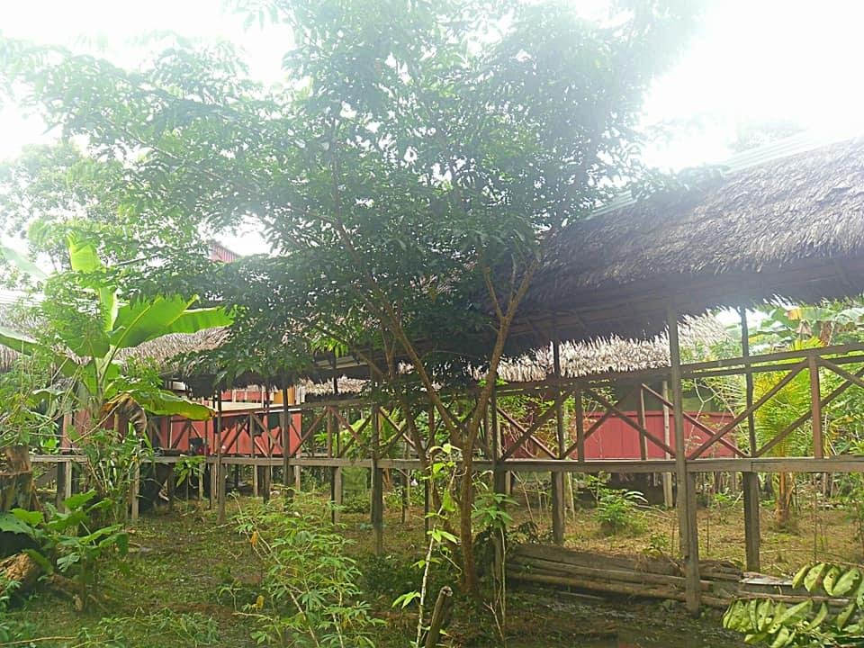 Eywa Lodge Amazonas - all inclusive