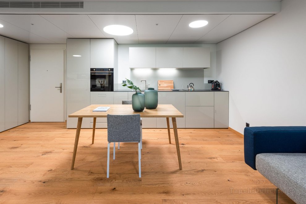 Elegant stylish apartment in a new modern complex