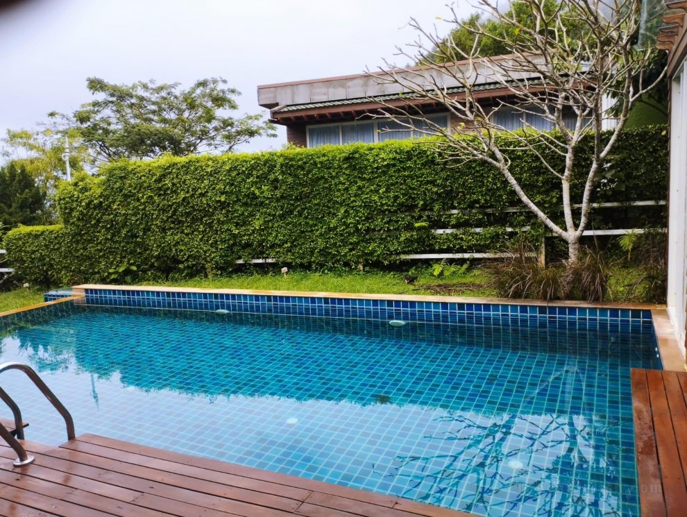 Phuket Jungle Experience Resort