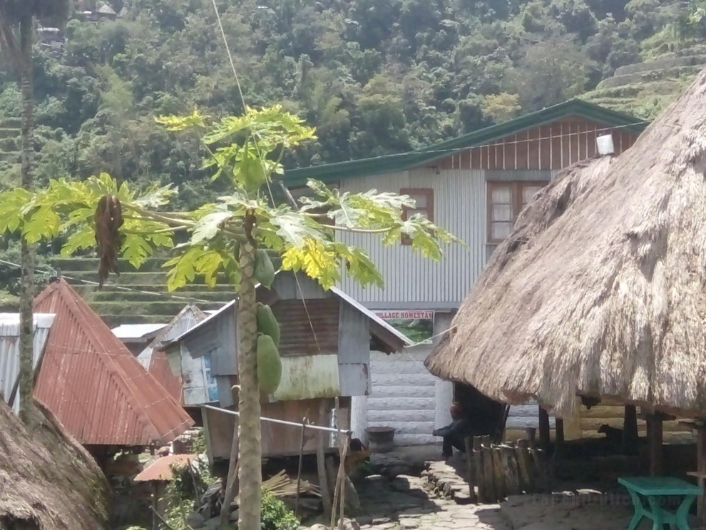 Batad village homestay