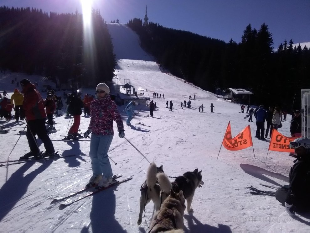 Ski Chalets At Pamporovo - For Families Or Groups