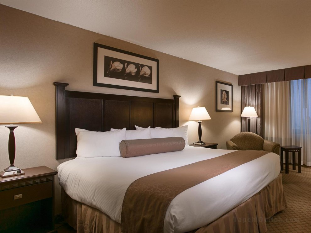Khách sạn Best Western Plus Rockville & Suites