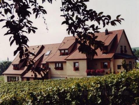 Khách sạn James Vignoble - Eguisheim