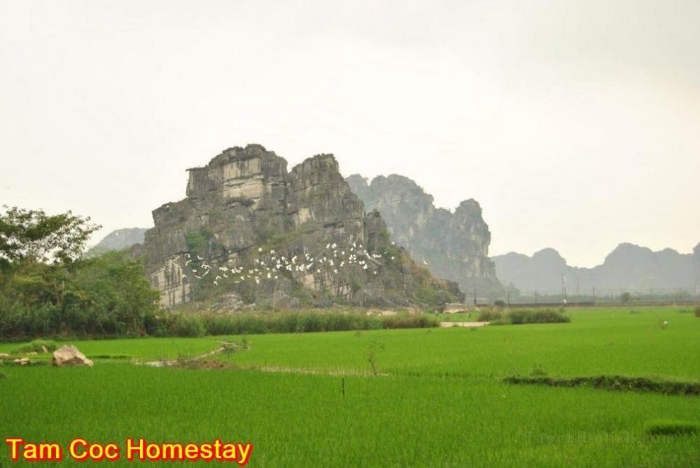 Thanh Dat Homestay