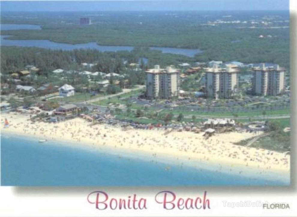Paradise Found on Beautiful Bonita Beach - Condo 5