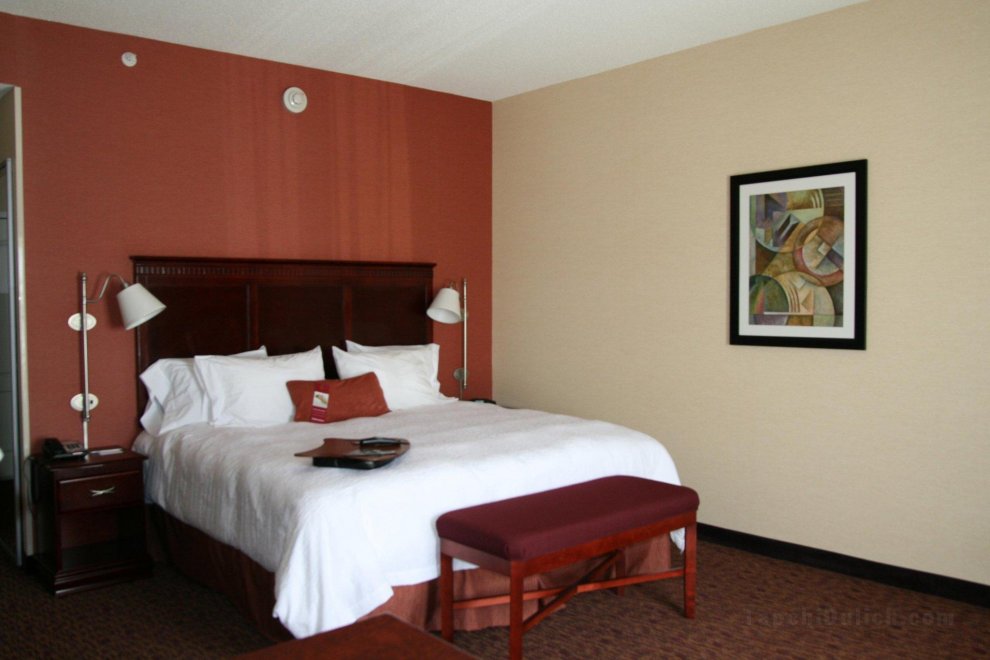 Hampton Inn and Suites Indiana