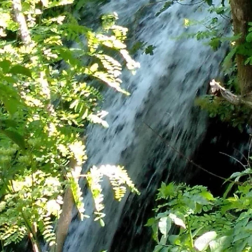 Guest House Waterfall