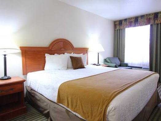 Best Western Plus Twin View Inn and Suites