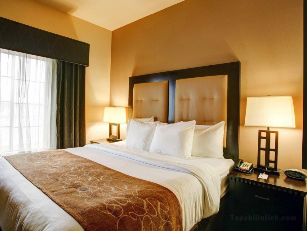 Comfort Suites Buda - Austin South