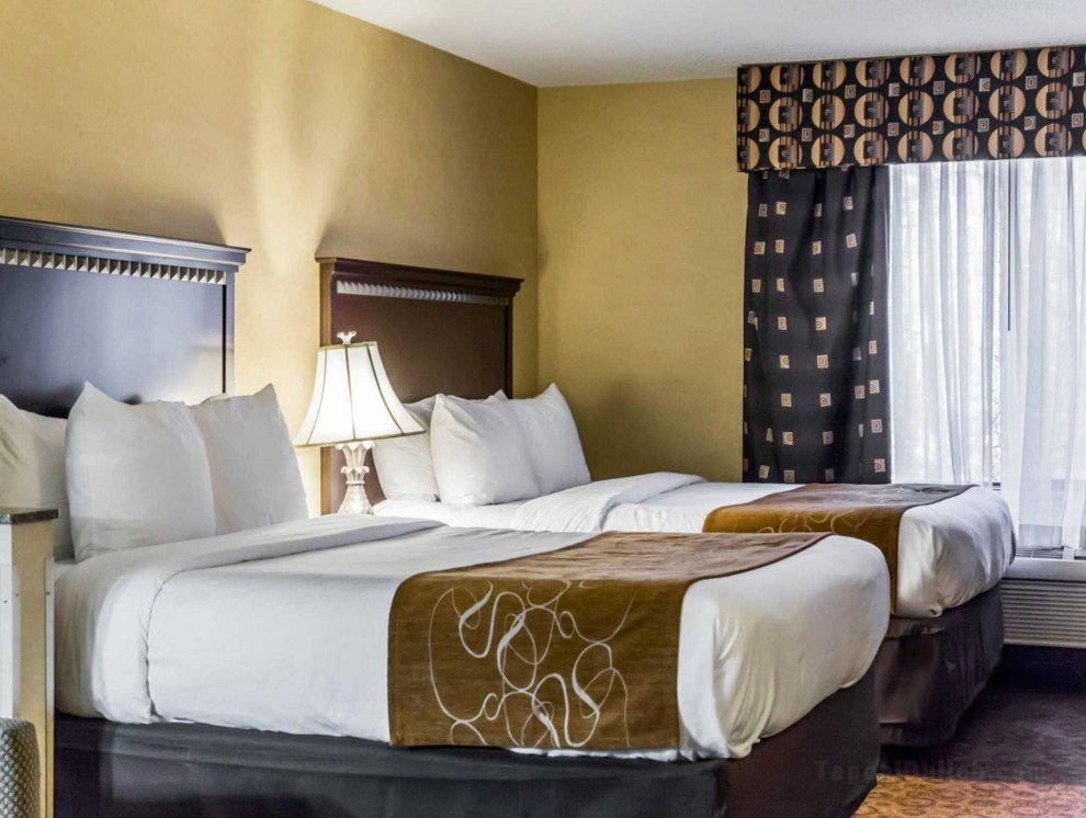 Comfort Suites Four Seasons Greensboro Nc United States