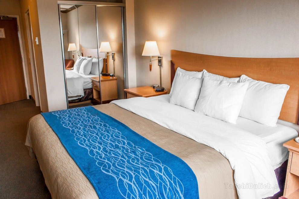 Comfort Inn & Suites Ocean Shores