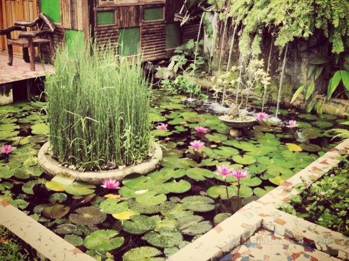 Khách sạn The Lotus Garden