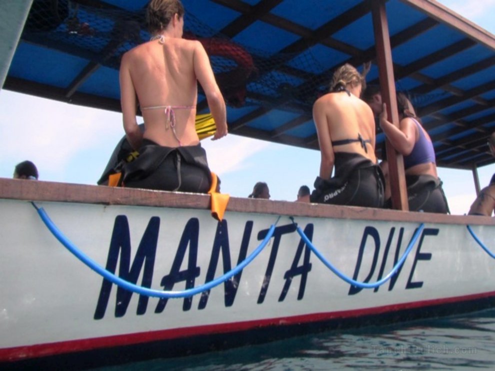 Khách sạn Manta Dive Gili Air