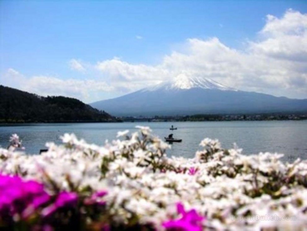 富士山四季之宿