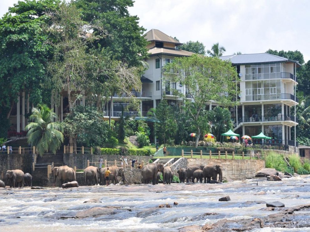 Khách sạn Elephant Bay