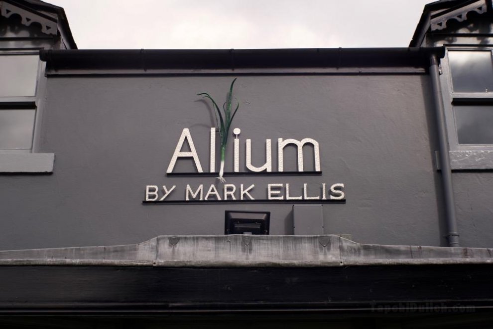 Allium by Mark Ellis