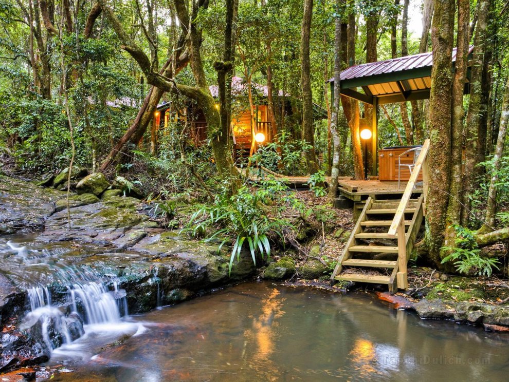 茅斯熱帶雨林酒店